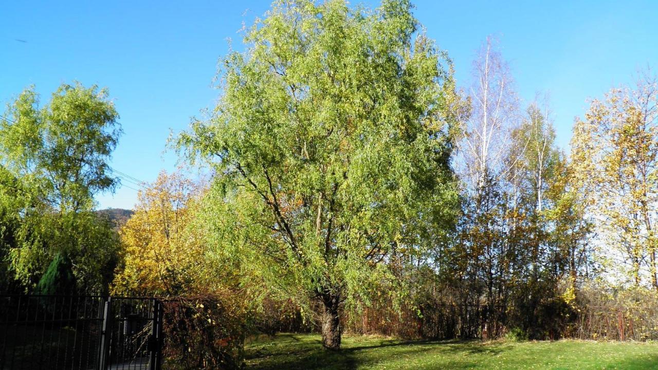 Podelniska Porąbka Extérieur photo